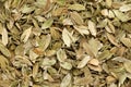 Dried Organic peels of True Cardamom Elettaria cardamomum.