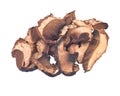 Dried organic porcini mushroom Royalty Free Stock Photo