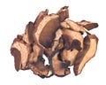 Dried organic porcini mushroom Royalty Free Stock Photo