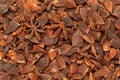 Dried Organic Star Anise Illicium verum.