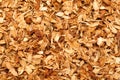 Dried Organic True Jasmine petals Jasminum officinale.