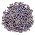 Dried Organic True Lavender Lavandula angustifolia