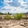 Dried out river bed of the Elbe near Magdeburg Royalty Free Stock Photo