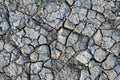 Dried out soil with deep cracks Royalty Free Stock Photo