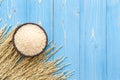 Dried paddy rice crop and jasmine rice in bowl on blue wooden bo Royalty Free Stock Photo
