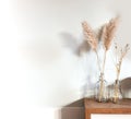 Dried pampas grass in glass vase on wooden table near white background, modern bright decoration for home interior, copy space