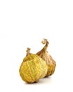 Dried Panache fig on white