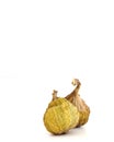 Dried Panache fig on white