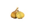 Dried Panache fig on white