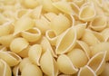 Dried pasta shells Royalty Free Stock Photo