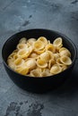 Dried pasta shells, on gray background