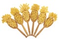 Dried Pasta Types Royalty Free Stock Photo