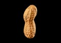 Dried peanut macro isolated on black background Royalty Free Stock Photo