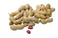 Dried peanuts in closeup isolatd on white Royalty Free Stock Photo