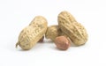 Dried peanuts closeup isolated on white background Royalty Free Stock Photo