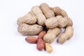 Dried peanuts in closeup on the white background Royalty Free Stock Photo