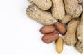 Dried peanuts in closeup on the white background Royalty Free Stock Photo