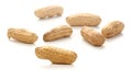 Dried Peanuts on a white background Royalty Free Stock Photo