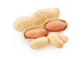 Dried peanuts Royalty Free Stock Photo