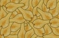 Dried pear fruit cut into slices - vitamin background