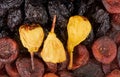 Dried pear stuffed with figs and dried apricots on a background of prunes and dried apricots, close up Royalty Free Stock Photo