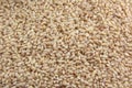 Dried pearl barley Royalty Free Stock Photo