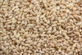 Dried pearled barley Royalty Free Stock Photo