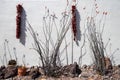 Dried peppers decorating the side of buidling in New Mexico