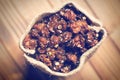 Dried Physalis Fruits in jute bag