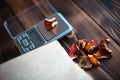 Dried pieces of mushroom fly agaric on table with scales. Measurement of microdose, microgram of psychedelic, therapeutic narcotic Royalty Free Stock Photo