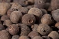 Dried Pimento Berries Full Frame Ready To Use In Royalty Free Stock Photo