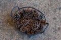 Dried pine cone arranged in the basket Royalty Free Stock Photo