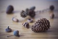 Dried pine cone on a wooden table Royalty Free Stock Photo