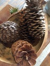 Dried pine cones