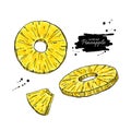 Dried pineapple chips vector drawing. Hand drawn dehydrated fruit ring and slices.