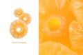 Dried pineapple fruit layout Royalty Free Stock Photo