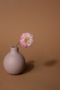 Dried pink flower in vase on a dark brown background. Minimal home interior decoration with dark shadow. Vertical shot Royalty Free Stock Photo