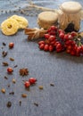 Winter rosehip tea. Royalty Free Stock Photo