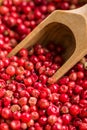 Dried pink peppercorn Royalty Free Stock Photo