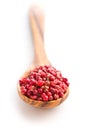 Dried pink peppercorn Royalty Free Stock Photo