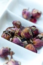 Dried Pink Rose Buds