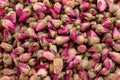 Tea rose flowers background. Dried buds of a pink tea rose closeup. Royalty Free Stock Photo