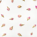 Dried pink rose flower buds close up on white Royalty Free Stock Photo