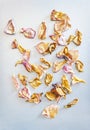 Dried Pink and Yellow Rose Petals Scattered on Chrome White Background. Top View, Flat Lay, Copy Space. Valentine, International Royalty Free Stock Photo