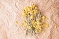 Dried plant immortelle on natural paper