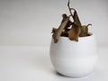 A dried plant on a white plastic pot Royalty Free Stock Photo