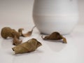 A dried plant on a white plastic pot Royalty Free Stock Photo