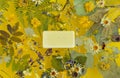 Dried plantain and flowers laid out on a yellow background, levitation. Preparation of homemade soap. Eco-friendly. Flat