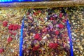 Dried plants and herbal teas in the bazaar