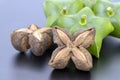 Dried Plukenetia volubilis, sacha inchi, sacha peanut, mountain peanut, Inca-peanut